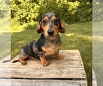 Image preview for Ad Listing. Nickname: Stella