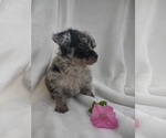 Image preview for Ad Listing. Nickname: Jada