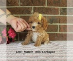 Image preview for Ad Listing. Nickname: Lexi