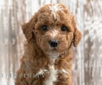 Image preview for Ad Listing. Nickname: Letisha