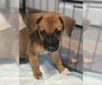 Small #1 Jack Chi