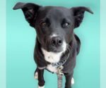 Small #2 Breeder Profile image
