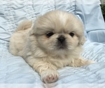 Image preview for Ad Listing. Nickname: Gwinnie