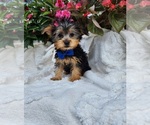 Image preview for Ad Listing. Nickname: Trevor