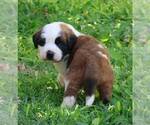 Image preview for Ad Listing. Nickname: YUKI