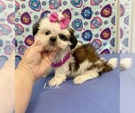 Image preview for Ad Listing. Nickname: Tiny Sandy