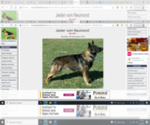 Small Photo #30 German Shepherd Dog Puppy For Sale in COLUMBIA, MO, USA