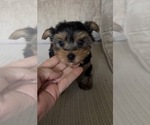 Image preview for Ad Listing. Nickname: REMMIE