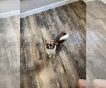 Small #2 Jack Chi