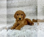 Image preview for Ad Listing. Nickname: Gisele