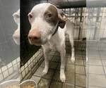 Small Pointer