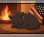 Small #4 German Shepherd Dog