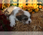  - Photo #2