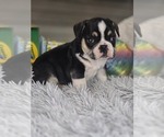 Image preview for Ad Listing. Nickname: Hans solo