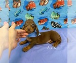 Image preview for Ad Listing. Nickname: Mini Hulk
