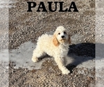 Image preview for Ad Listing. Nickname: Paula