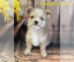 Image preview for Ad Listing. Nickname: Freedom