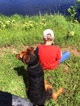 Small Photo #15 Airedale Terrier Puppy For Sale in BOWRING, OK, USA