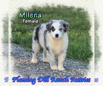 Image preview for Ad Listing. Nickname: Milena
