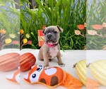 Image preview for Ad Listing. Nickname: Luna