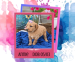 Image preview for Ad Listing. Nickname: Annie