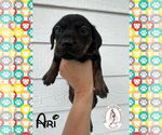 Small #1 Breeder Profile image