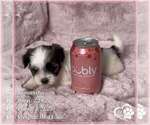 Image preview for Ad Listing. Nickname: Samantha