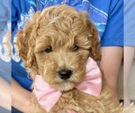 Image preview for Ad Listing. Nickname: Sugar May