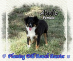 Image preview for Ad Listing. Nickname: Andie