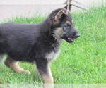 Image preview for Ad Listing. Nickname: Green male