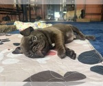  - Photo #3