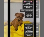Image preview for Ad Listing. Nickname: Penelope