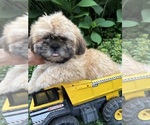 Image preview for Ad Listing. Nickname: Jackson