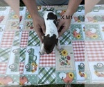  - Photo #3