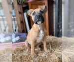 Small #4 Mutt