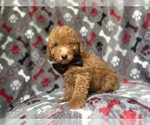 Image preview for Ad Listing. Nickname: Landon