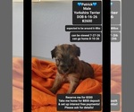 Image preview for Ad Listing. Nickname: Patrick
