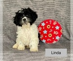 Image preview for Ad Listing. Nickname: Linda