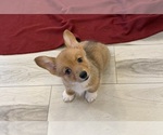 Image preview for Ad Listing. Nickname: Ella