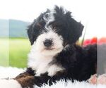 Image preview for Ad Listing. Nickname: Raven