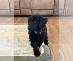 Image preview for Ad Listing. Nickname: Jetta