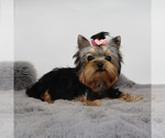 Image preview for Ad Listing. Nickname: Micro girl Mia