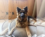 Small #1 Breeder Profile image