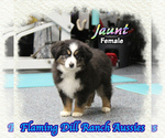 Image preview for Ad Listing. Nickname: Jaunt