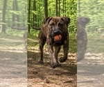 Image preview for Ad Listing. Nickname: Sky