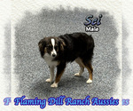 Image preview for Ad Listing. Nickname: Sei
