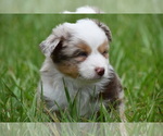 Image preview for Ad Listing. Nickname: Luna