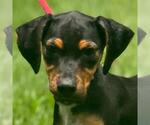 Small #2 Breeder Profile image