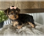 Image preview for Ad Listing. Nickname: Ellie