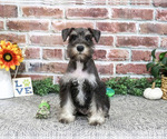 Image preview for Ad Listing. Nickname: Dawson
